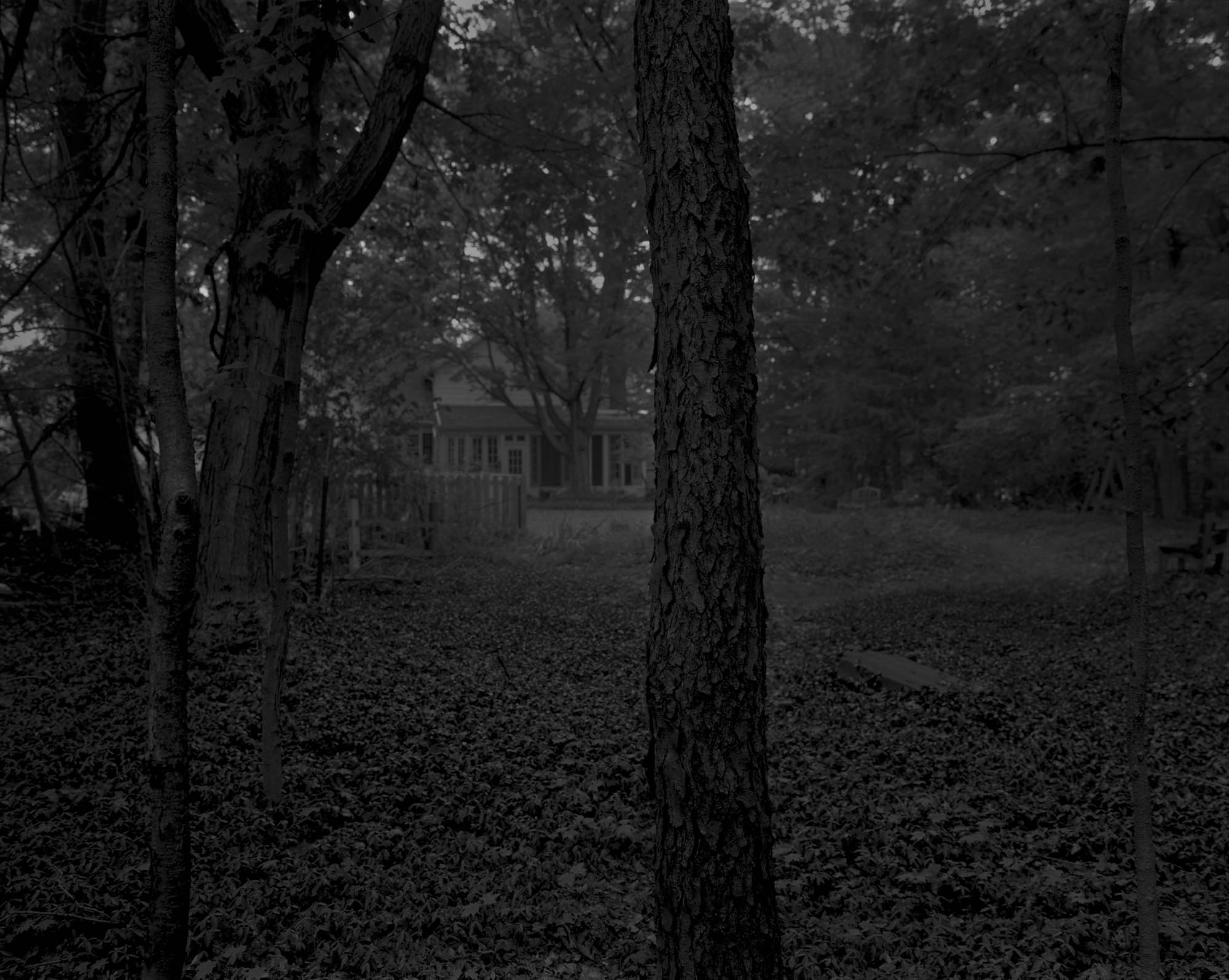 A black and white photo in a forest.