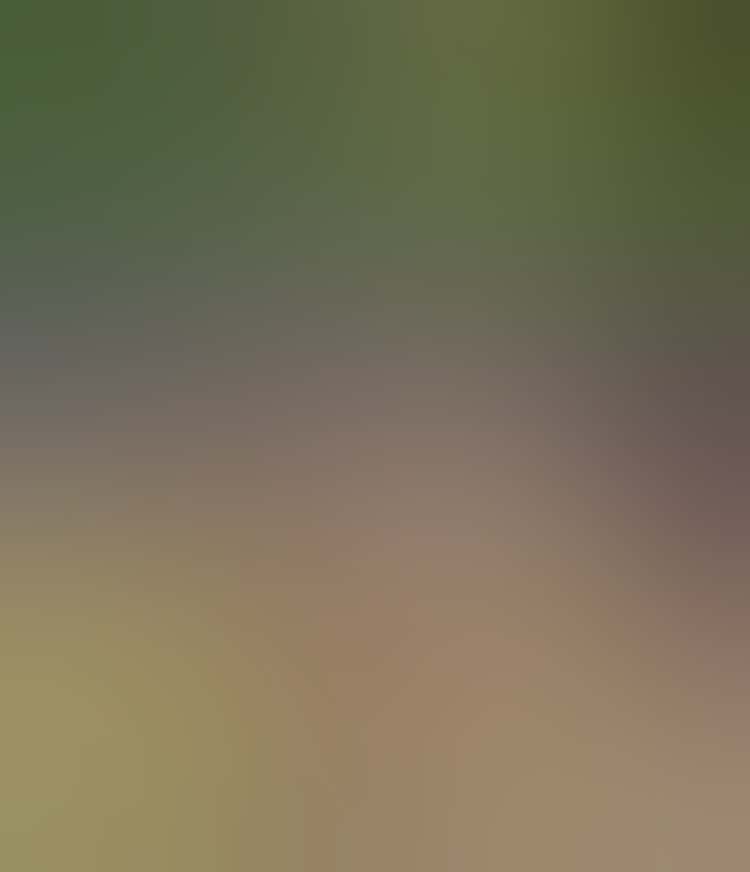 Seurat200.jpg