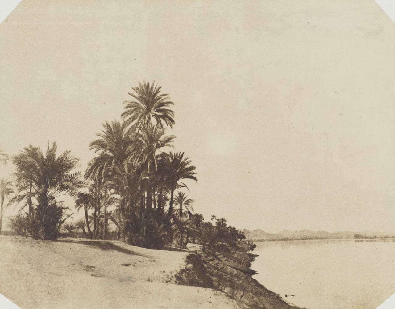 Old sepia-toned photograph from 1854by John Beasley Greene that shows date palms in a vast desert
