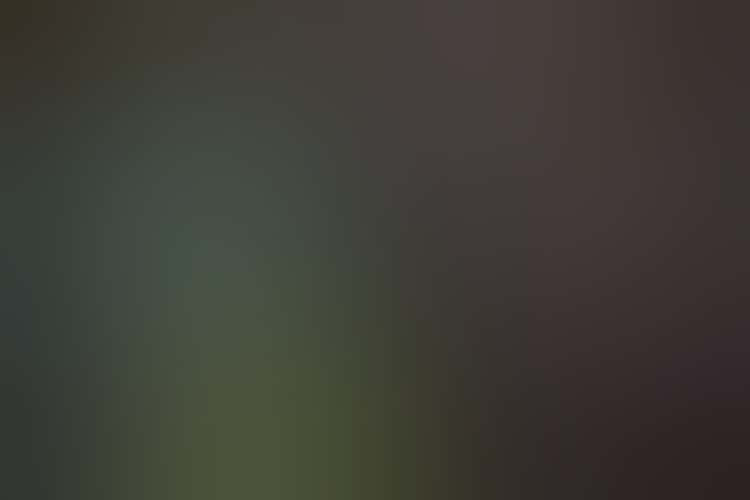 Im044038 061 Int