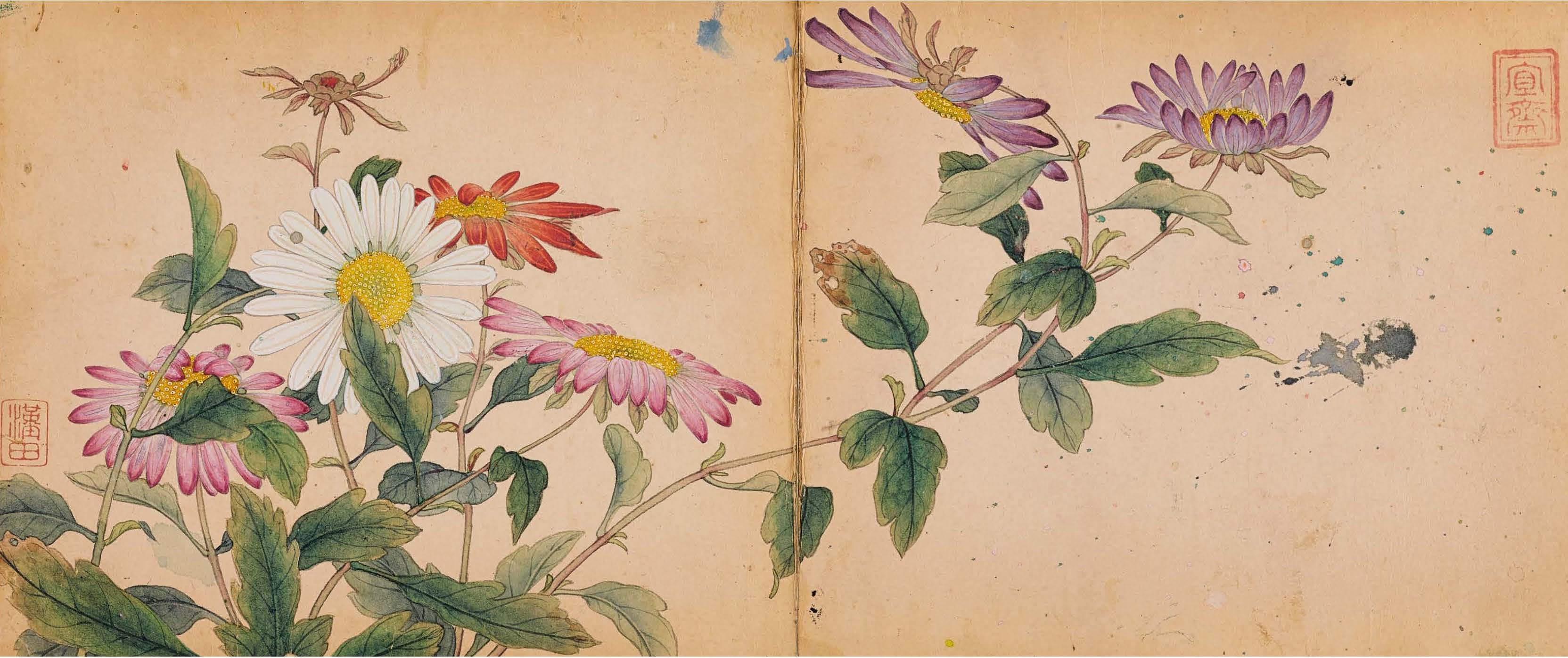 Painting on cream-colored paper of several delicately rendered flowers in light pink, purple, red, and white, their imperfect, sometimes browning leaves extended across the page.