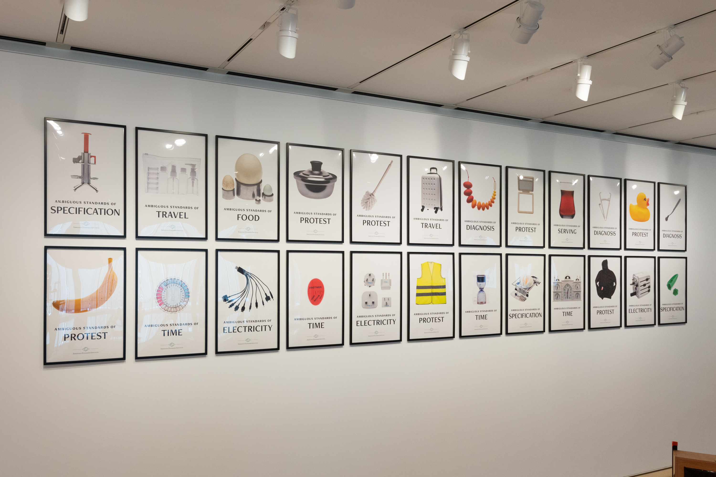 A series of many posters hung in two horizontal rows, each featuring the image of a single object and an associated word under the phrase “Ambiguous Standards of.”