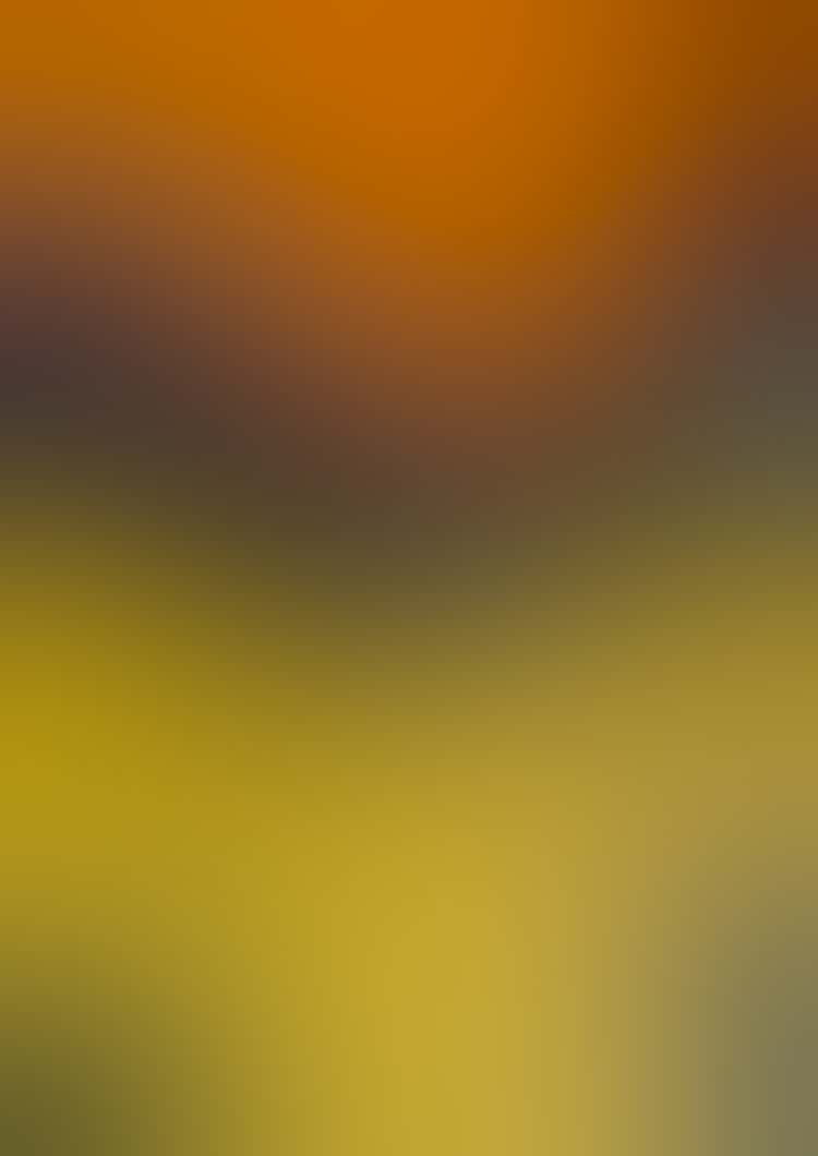 Conserv F03
