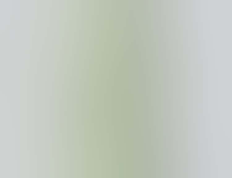Pale green vase with a log neck and two small handles of interlocking rings.