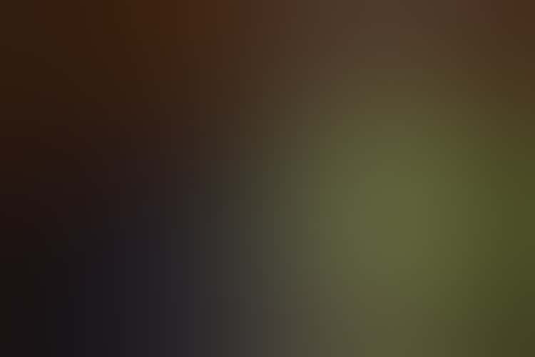 Im044038 066 Int