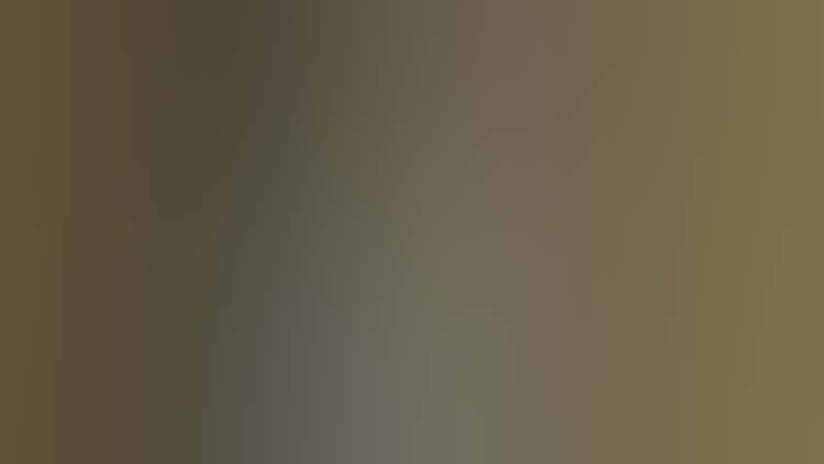 Memorial Sheet for Karl Liebknecht | The Art Institute of Chicago