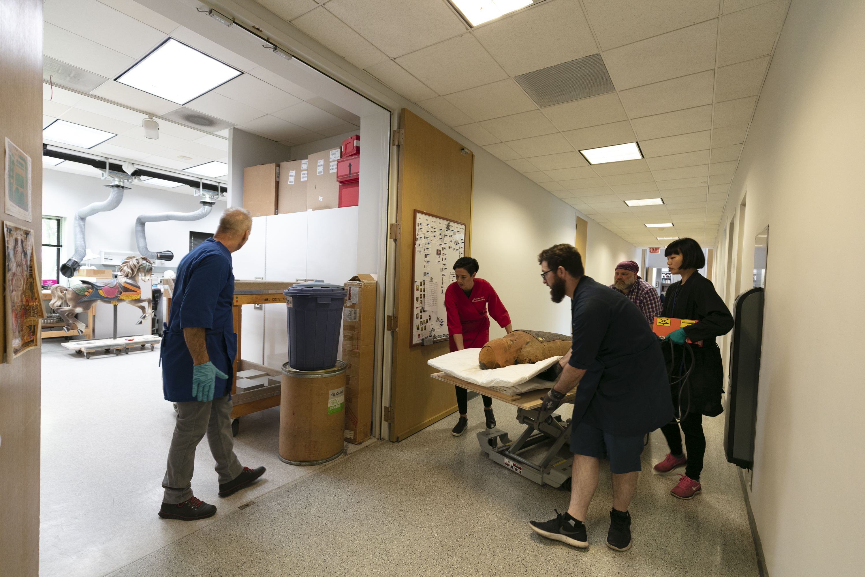 Photograph of a group of people carefully transporting an ancient Egyptian mummy case down a hallway on a stretcher. Four people—two men and two women—guide the stretcher down the hall, and a man in a blue lad coat leads them into a large room.